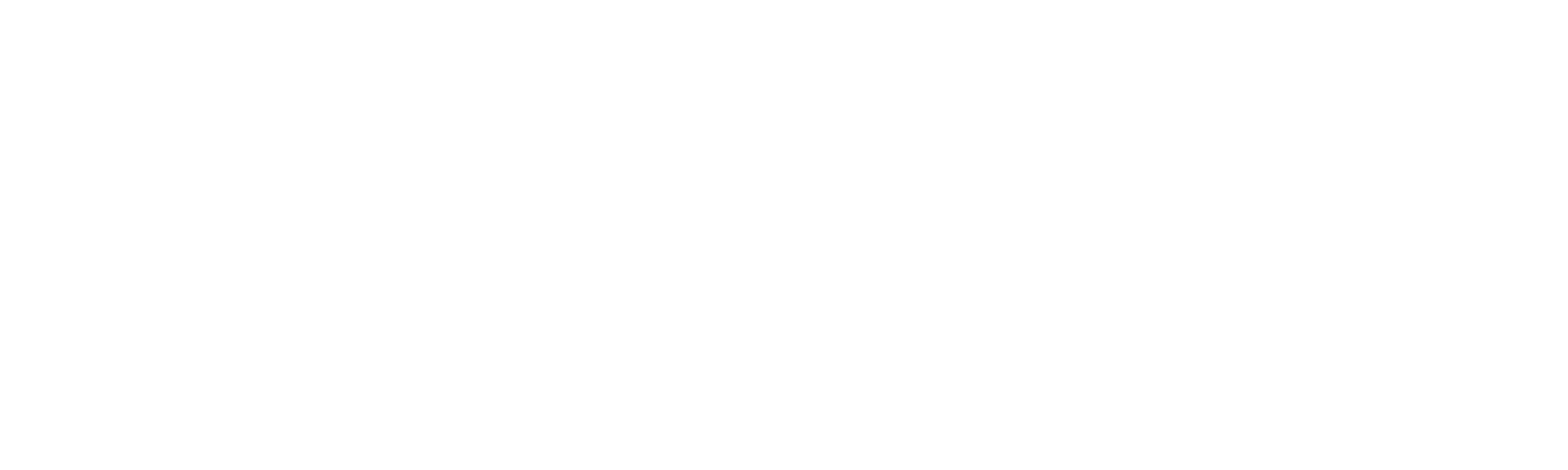 Spotify Logo RGB White